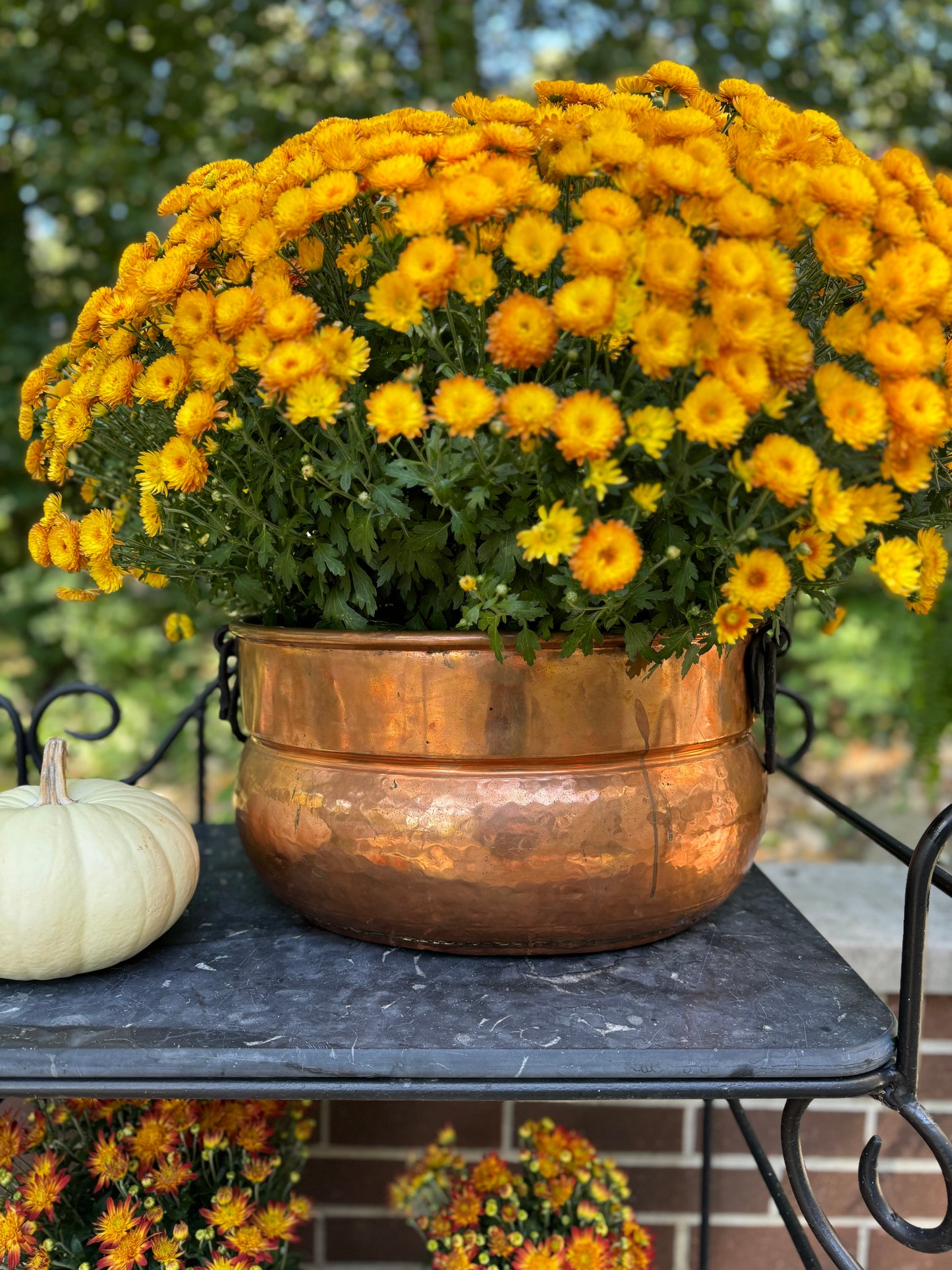 Hammered Copper Planter with Wrought Iron Handles