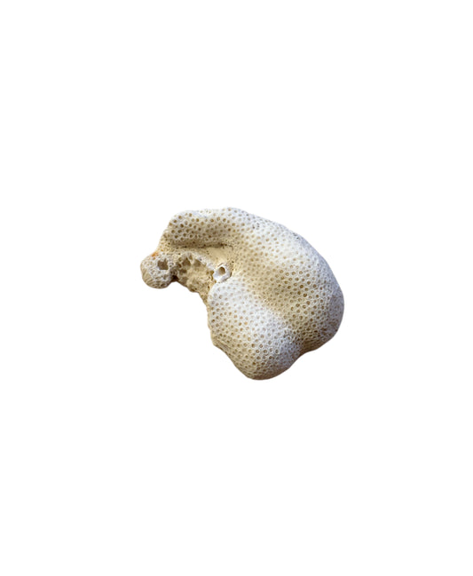 Natural Coral Object